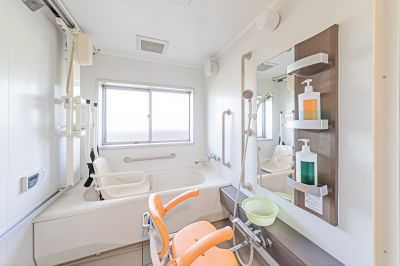Walk In Tub Installation detail